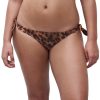 Wild Leopard (A12)