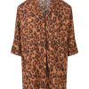 Wild Leopard (A12)